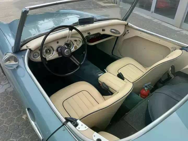 Bild 8/8 von Austin-Healey 3000 Mk I (BN7) (1959)