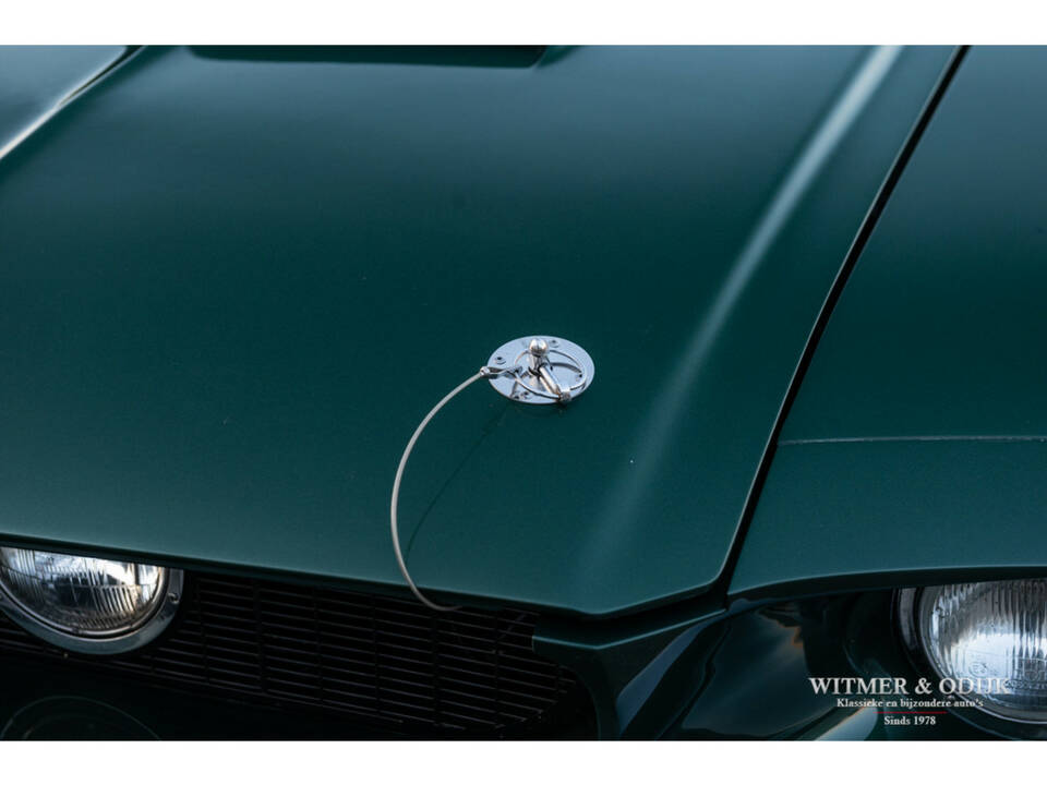 Image 21/34 of Ford Shelby GT 500 (1967)