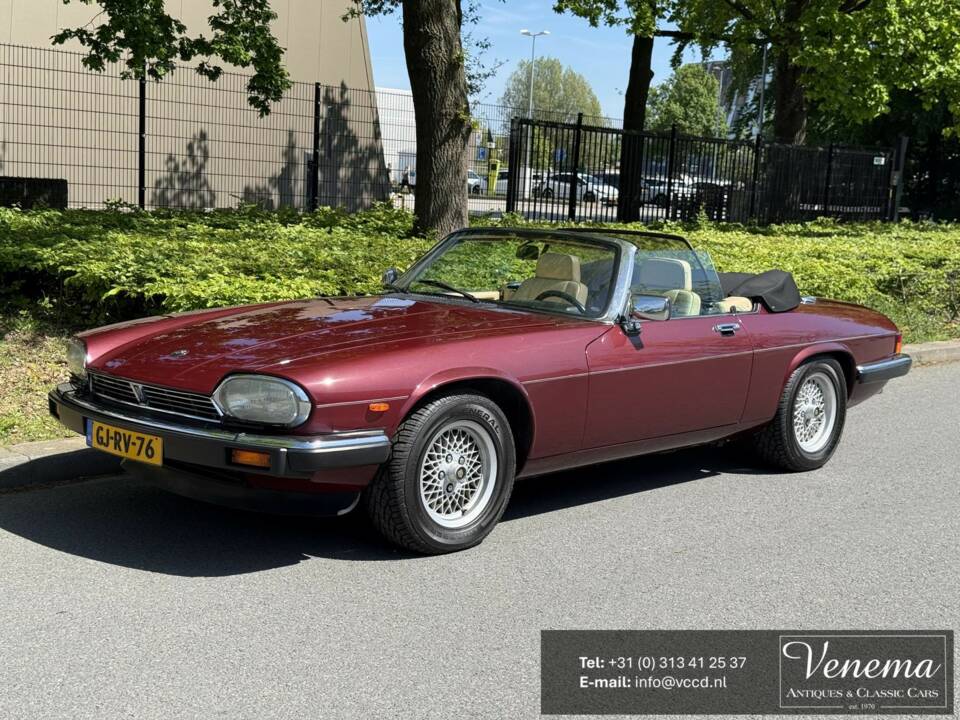 Bild 1/17 von Jaguar XJS 5.3 V12 (1989)