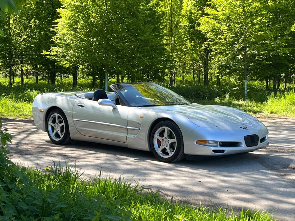Image 4/50 of Chevrolet Corvette (2001)