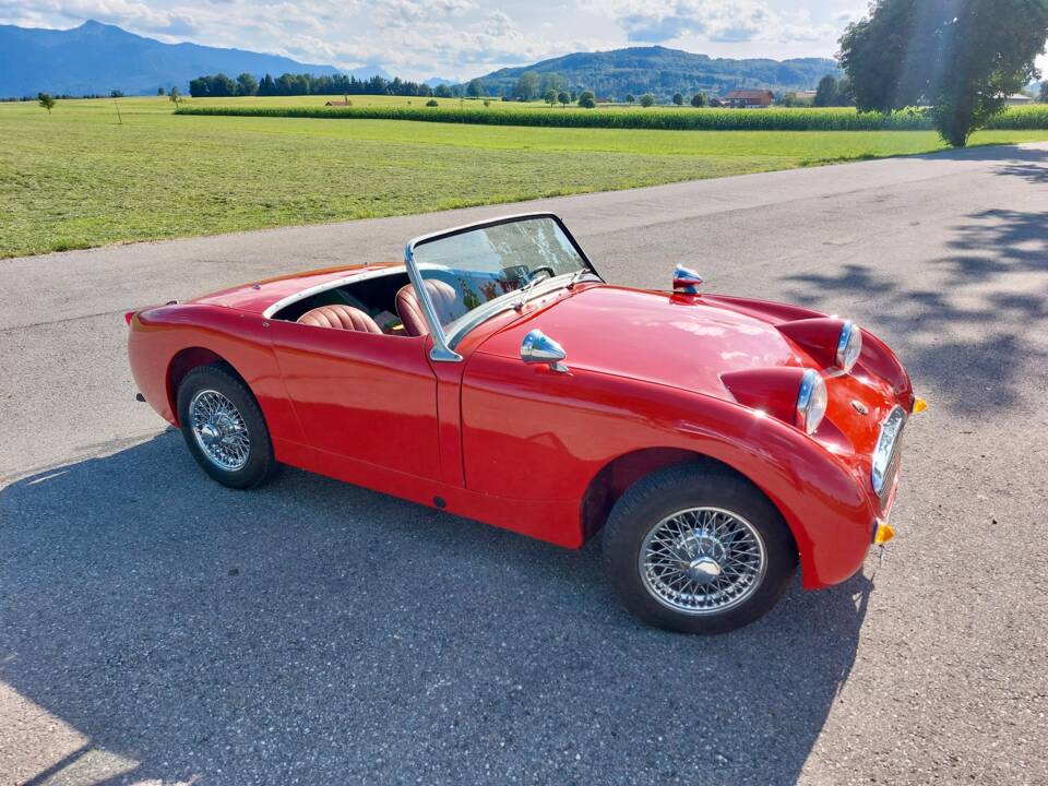 Image 3/7 of Austin-Healey Sprite Mk I (1959)