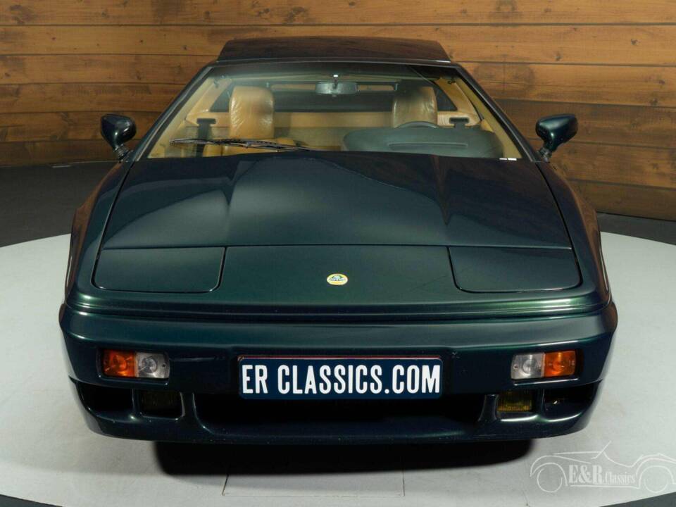 Image 17/19 of Lotus Esprit SE (1990)