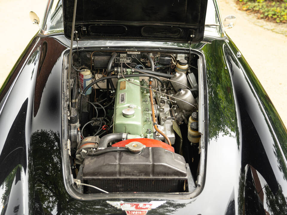 Immagine 58/62 di Austin-Healey 3000 Mk III (BJ8) (1965)