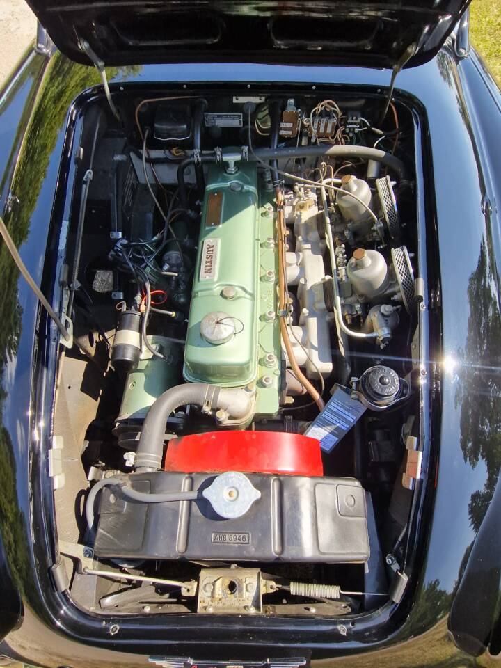 Bild 9/14 von Austin-Healey 3000 Mk I (BT7) (1961)