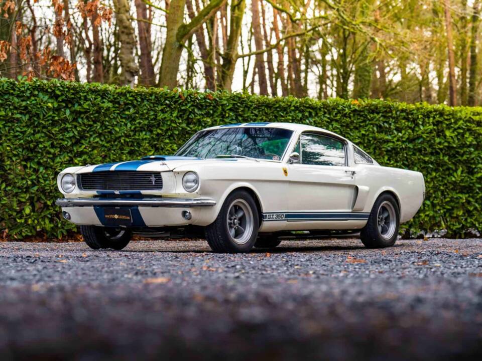 Image 3/27 of Ford Shelby GT 350 (1966)
