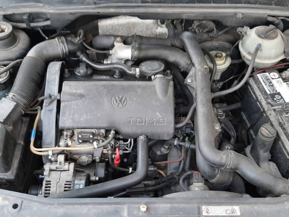 Immagine 20/21 di Volkswagen Golf III Cabrio 1,9 TDI (1995)