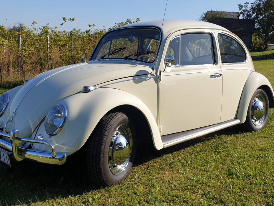 Bild 3/10 von Volkswagen Beetle 1300 (1967)
