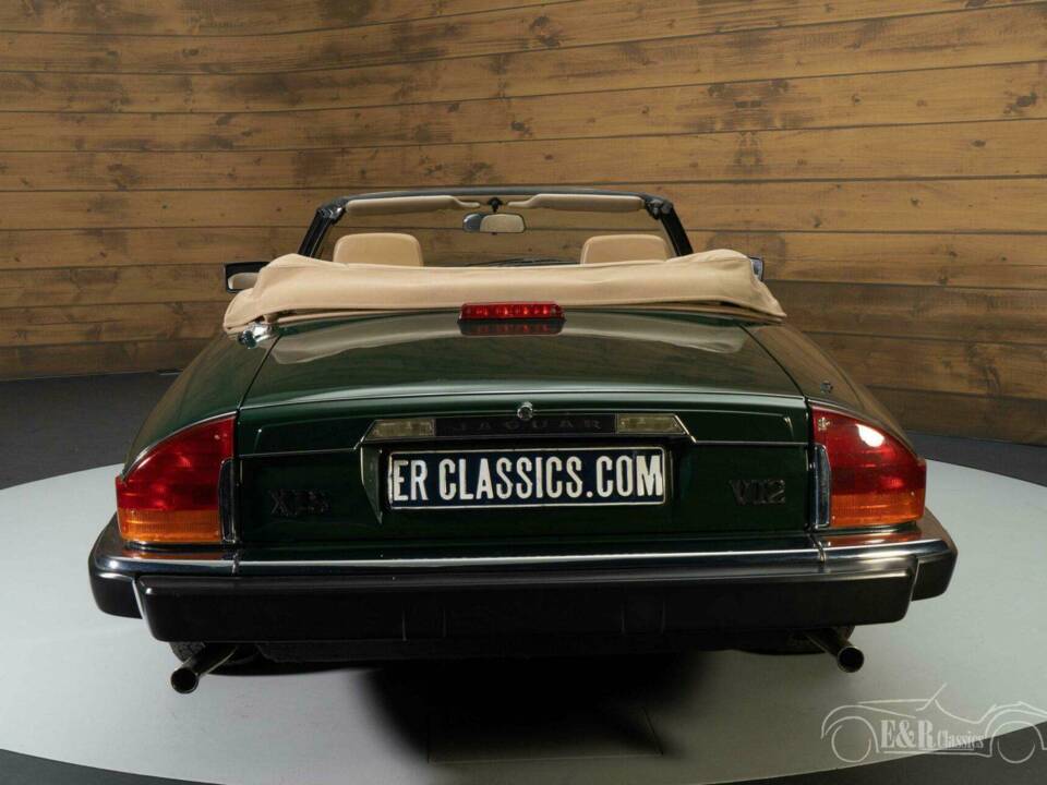 Bild 17/19 von Jaguar XJS 5.3 V12 (1990)