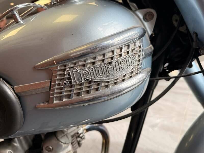 Bild 12/21 von Triumph DUMMY (1957)