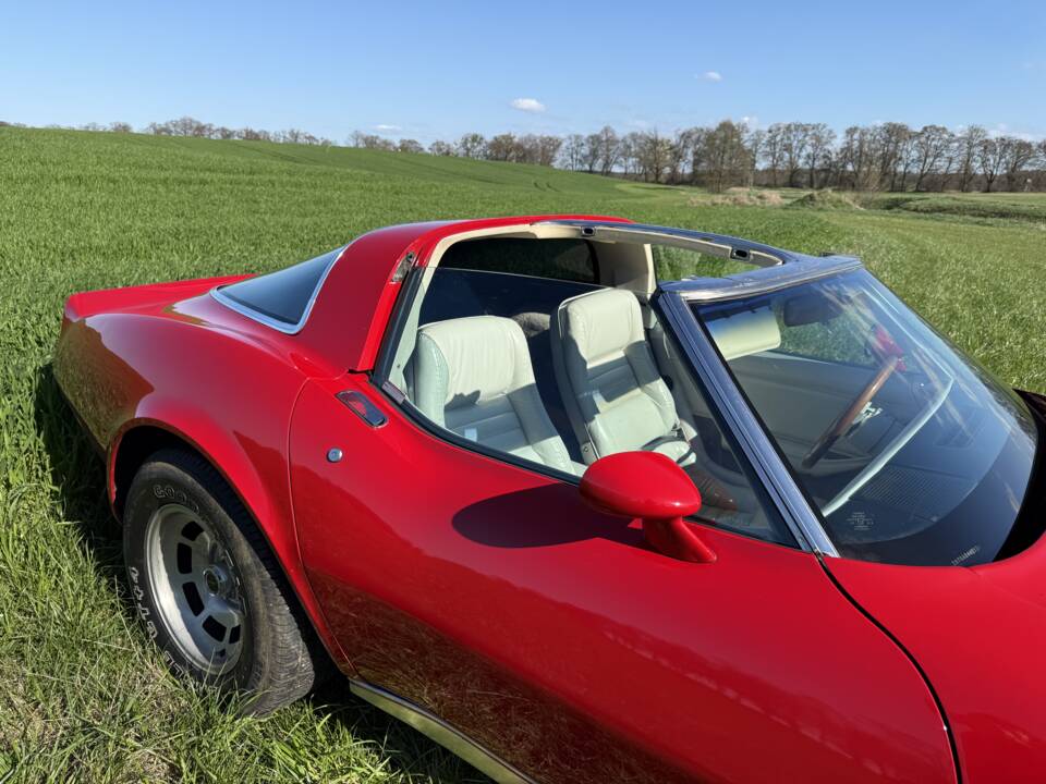 Image 9/20 of Chevrolet Corvette Sting Ray (1980)