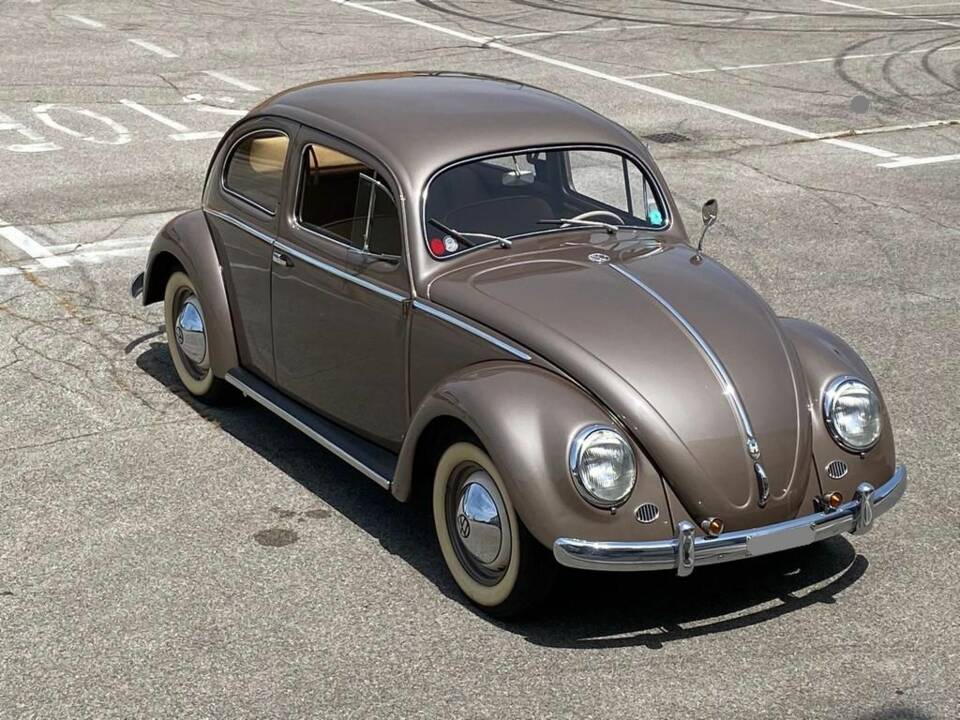 Bild 21/25 von Volkswagen Beetle 1200 Export &quot;Oval&quot; (1954)