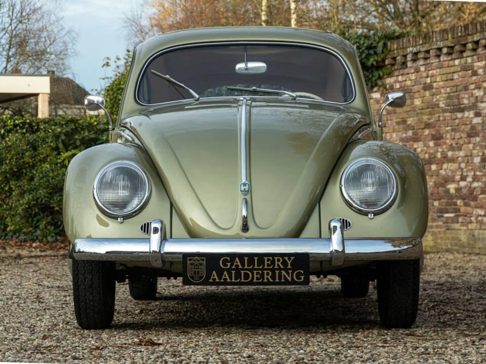 Bild 24/50 von Volkswagen Beetle 1200 Standard "Oval" (1956)