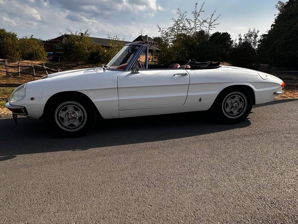 Afbeelding 11/19 van Alfa Romeo 1750 Spider (1969)
