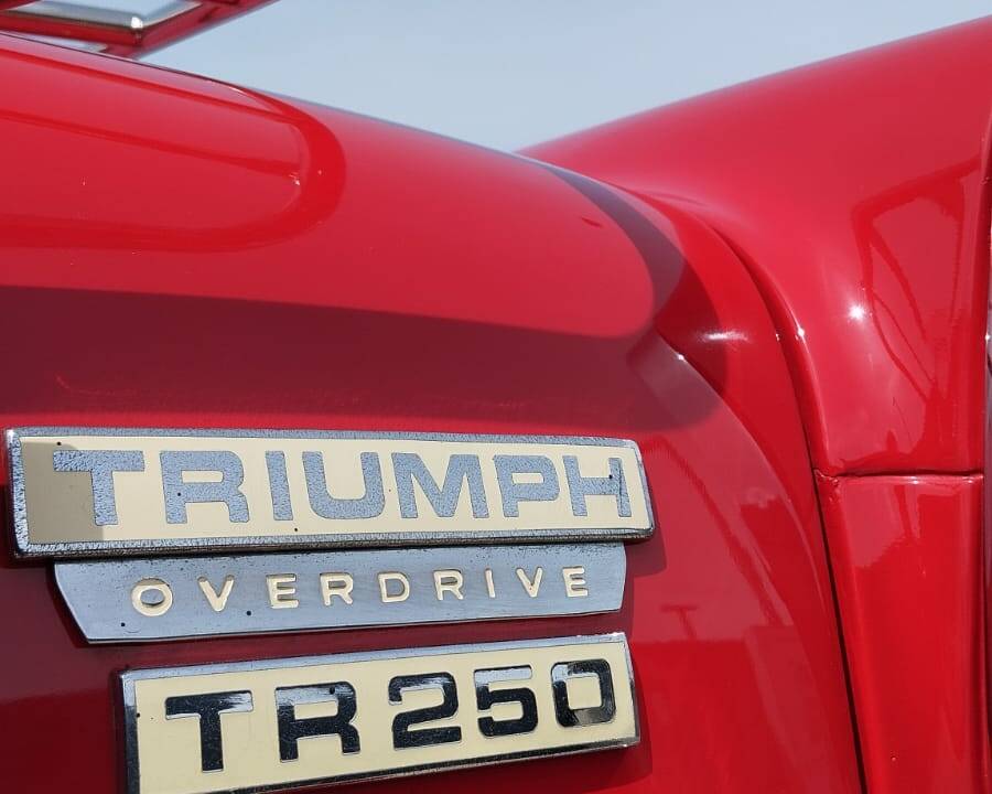 Image 23/50 de Triumph TR 250 (1968)