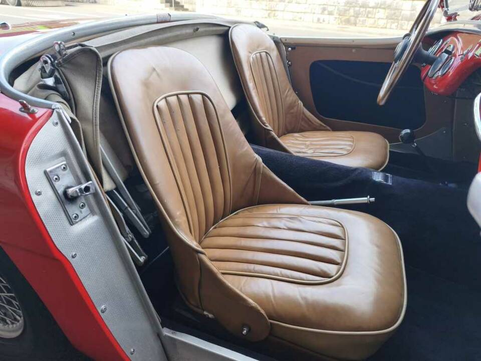 Imagen 10/24 de Austin-Healey 100/4 (BN1) (1955)