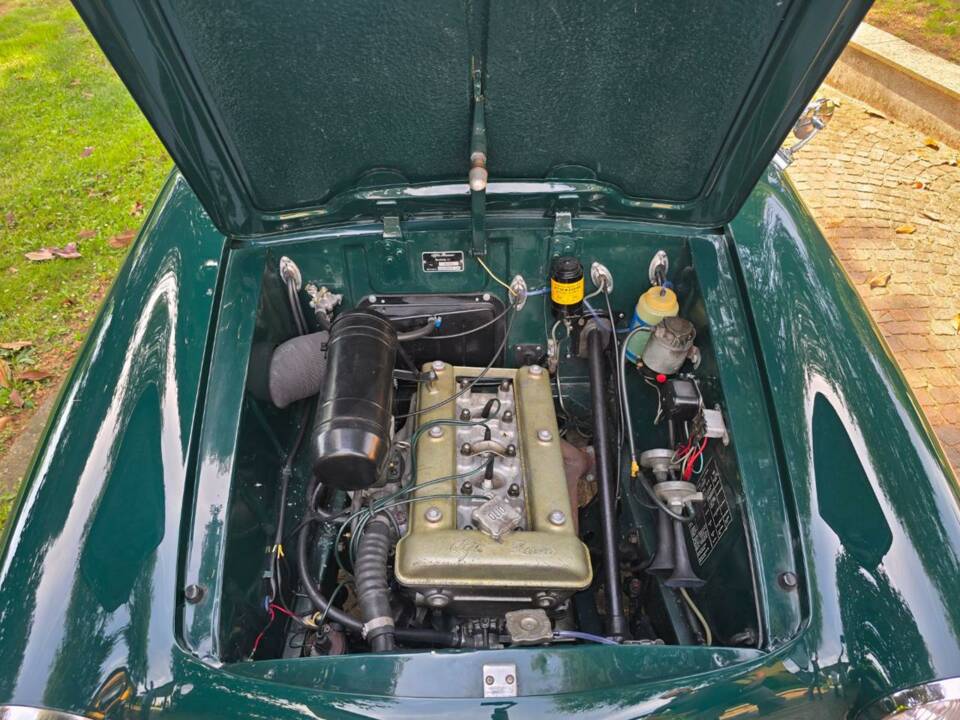 Bild 26/48 von Alfa Romeo Giulietta TI (1963)