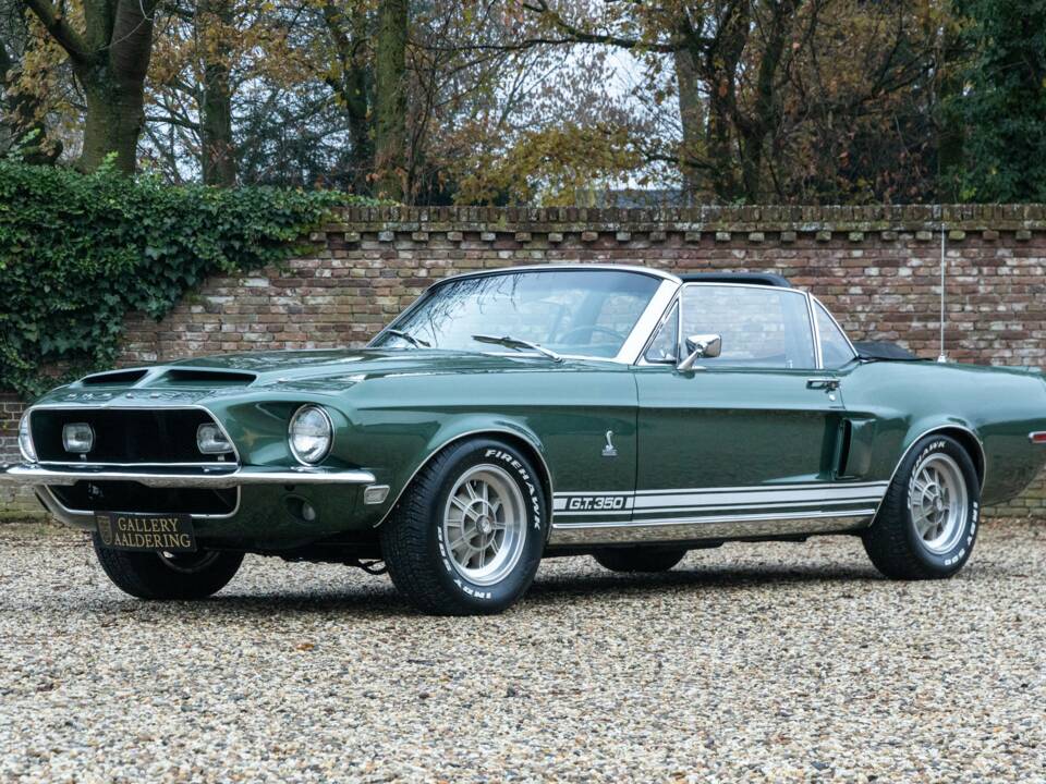 Immagine 39/50 di Ford Shelby GT 350 (1968)