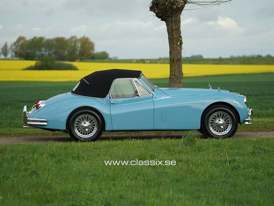 Bild 11/21 von Jaguar XK 140 SE DHC (1955)