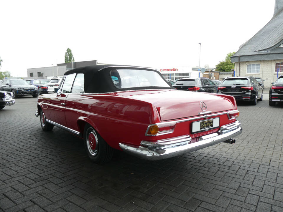 Afbeelding 6/28 van Mercedes-Benz 250 SE (1965)
