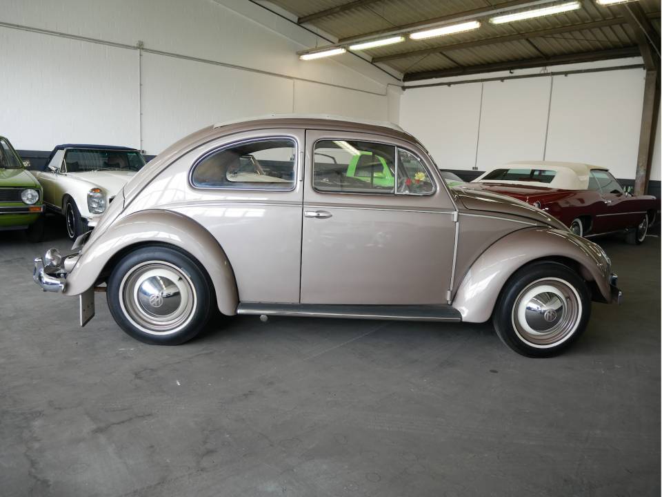 Image 8/27 of Volkswagen Beetle 1200 Standard &quot;Oval&quot; (1955)