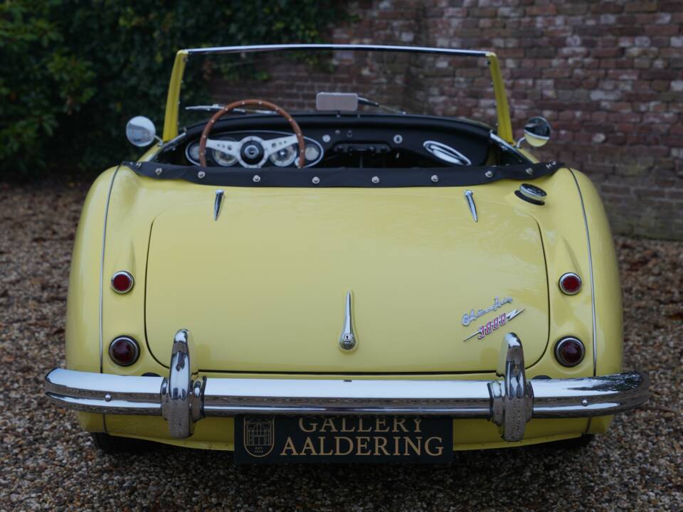 Bild 42/50 von Austin-Healey 3000 Mk I (BN7) (1960)