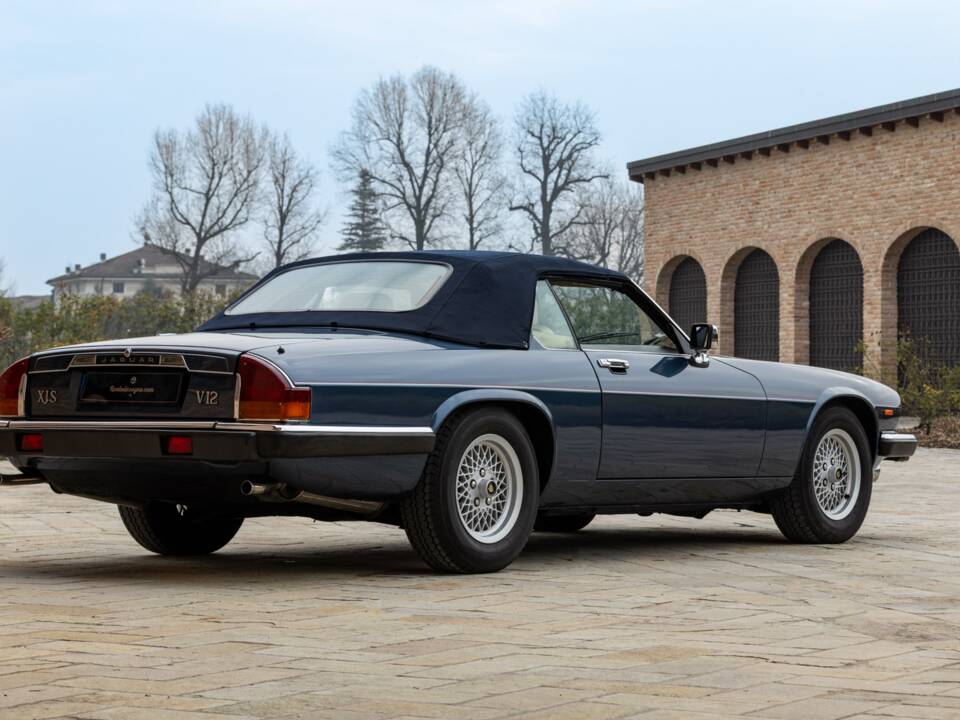 Bild 6/50 von Jaguar XJS 5.3 V12 (1990)