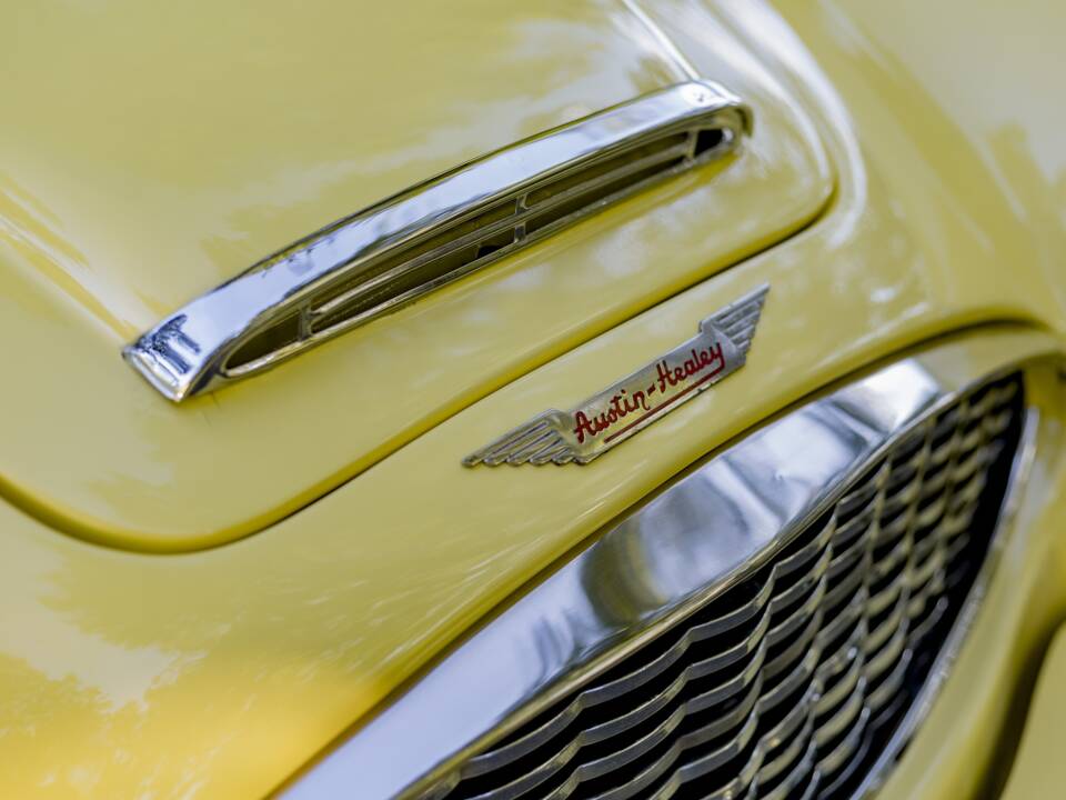 Bild 33/50 von Austin-Healey 3000 Mk I (BT7) (1960)