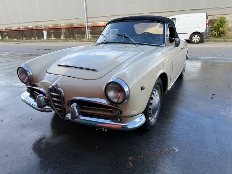 Bild 3/100 von Alfa Romeo Giulia 1600 Spider (1962)