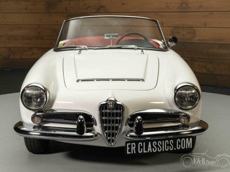 Immagine 5/19 di Alfa Romeo Giulia 1600 Spider Veloce (1964)