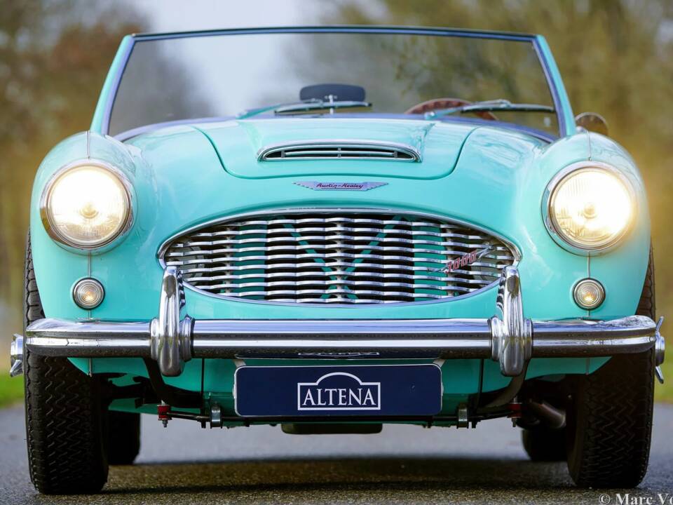 Immagine 2/48 di Austin-Healey 3000 Mk I (BN7) (1960)