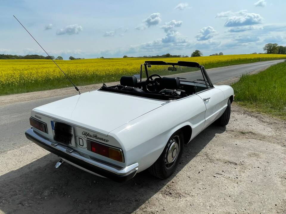 Bild 15/29 von Alfa Romeo Spider 1300 Junior (1971)