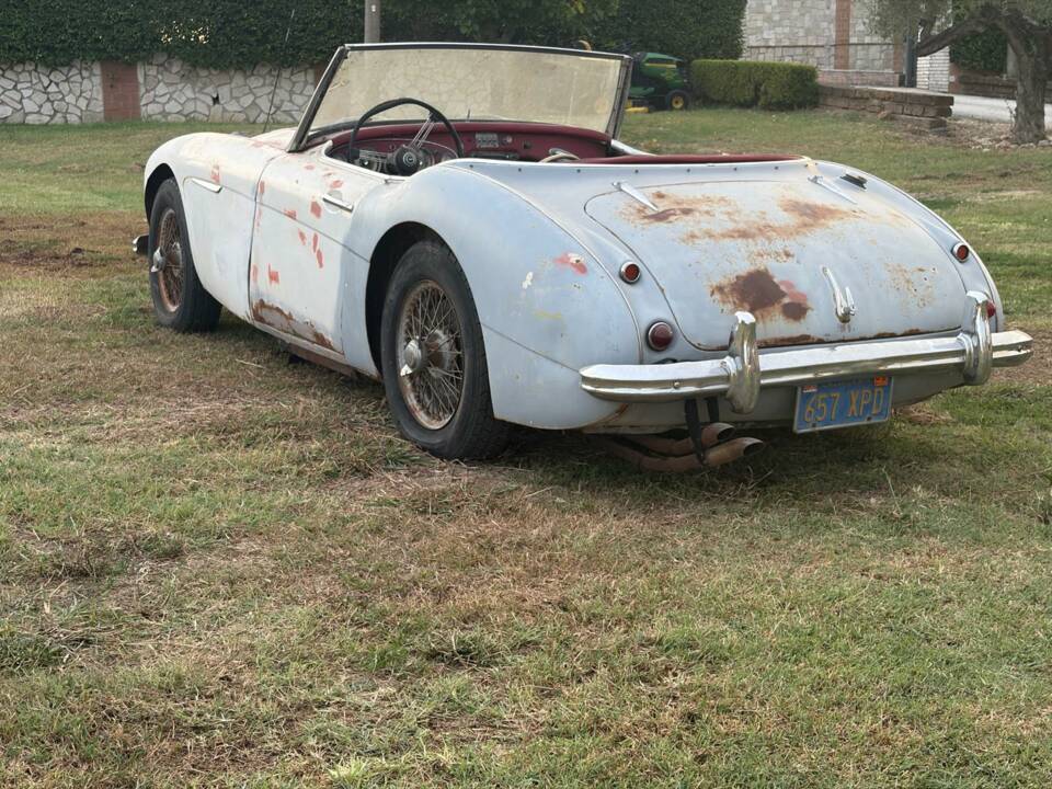 Bild 18/22 von Austin-Healey 3000 Mk II (BN7) (1960)