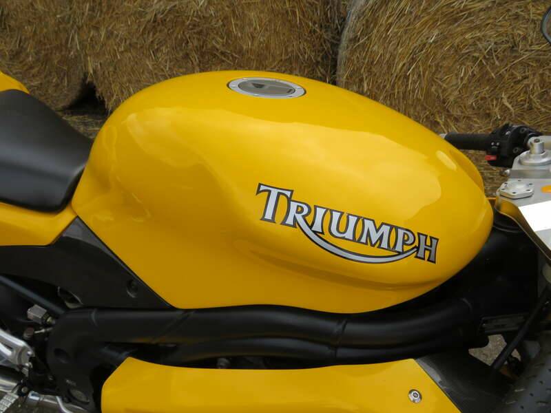 Image 13/40 of Triumph DUMMY (2006)
