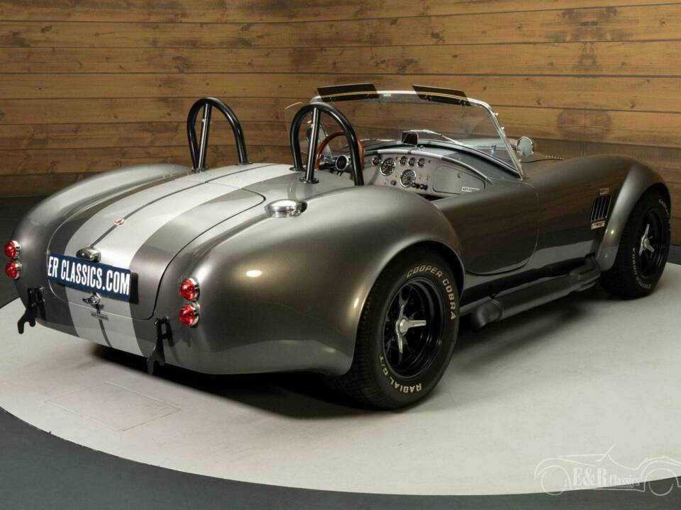 Afbeelding 9/19 van AC Cobra 289 (1965)