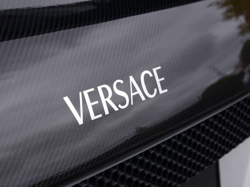 Image 3/14 de Lamborghini Murciélago LP640 &quot;Versace&quot; (2010)