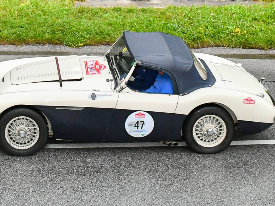 Image 3/4 of Austin-Healey 100/4 (BN1) (1953)