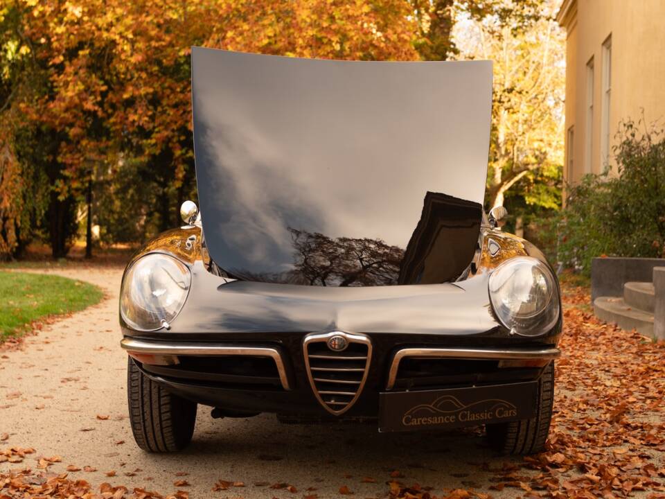 Image 51/51 of Alfa Romeo 1600 Spider Duetto (1966)