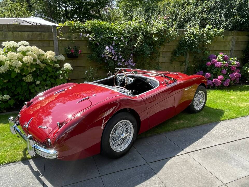 Image 17/56 of Austin-Healey 100&#x2F;4 (BN1) (1955)