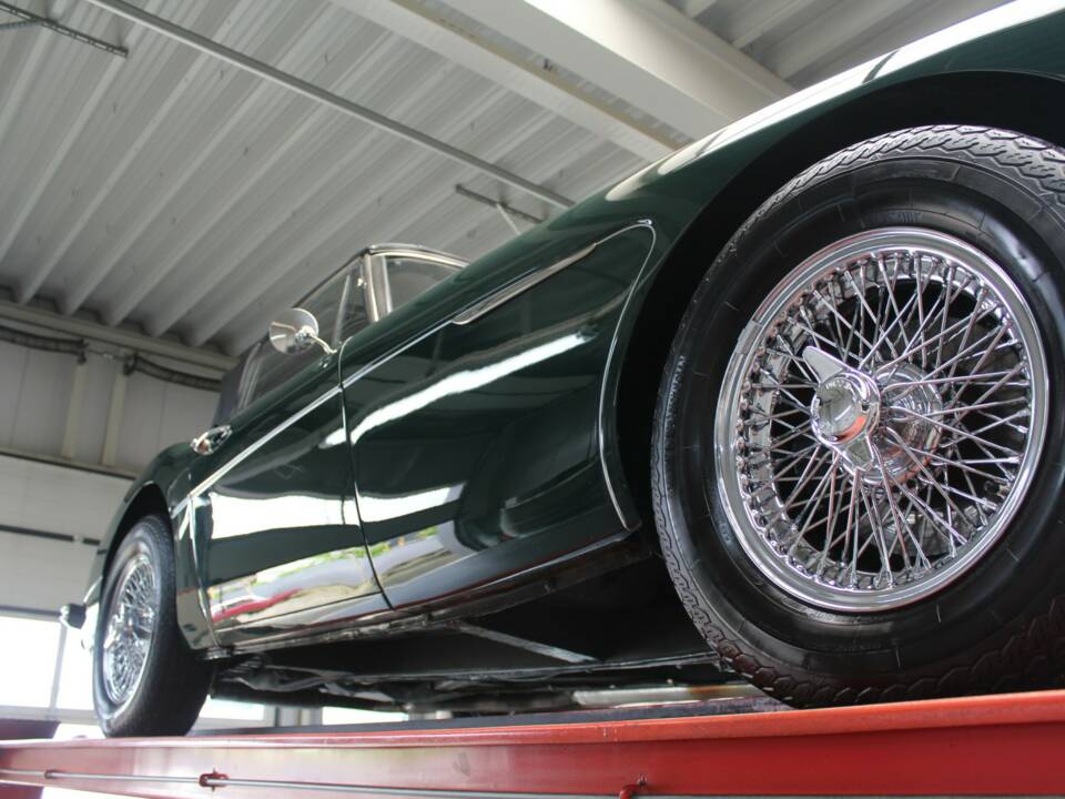 Afbeelding 36/50 van Austin-Healey 3000 Mk III (BJ8) (1966)