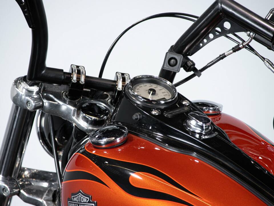 Bild 13/50 von Harley-Davidson DUMMY (2010)