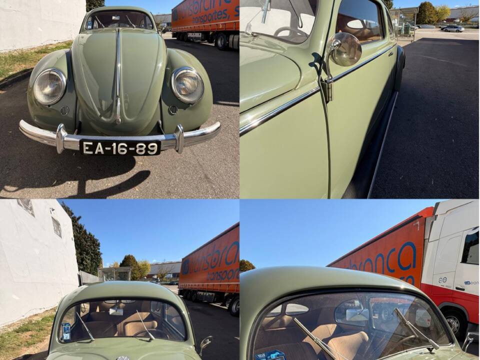 Image 46/49 of Volkswagen Beetle 1100 Standard (Brezel) (1950)