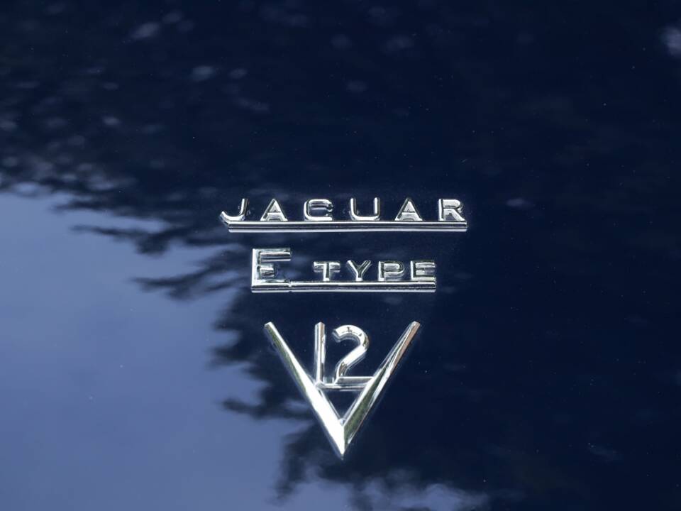 Obraz 48/50 pojazdu Jaguar E-Type V12 (1973)
