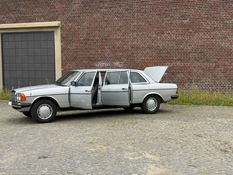 Bild 10/34 von Mercedes-Benz 250 lang (1983)