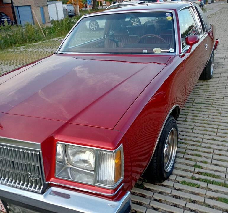 Immagine 5/8 di Buick Regal (1979)