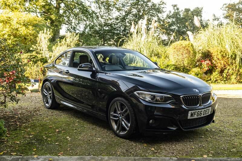 Image 40/50 of BMW 220i (2016)