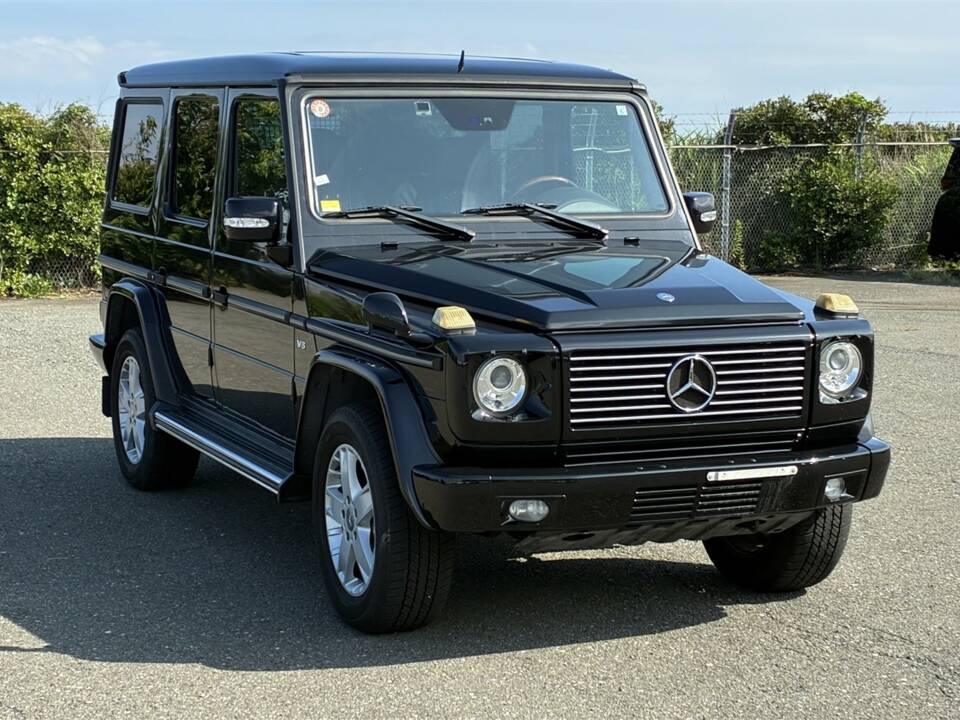 Bild 3/63 von Mercedes-Benz G 500 (lang) (2009)