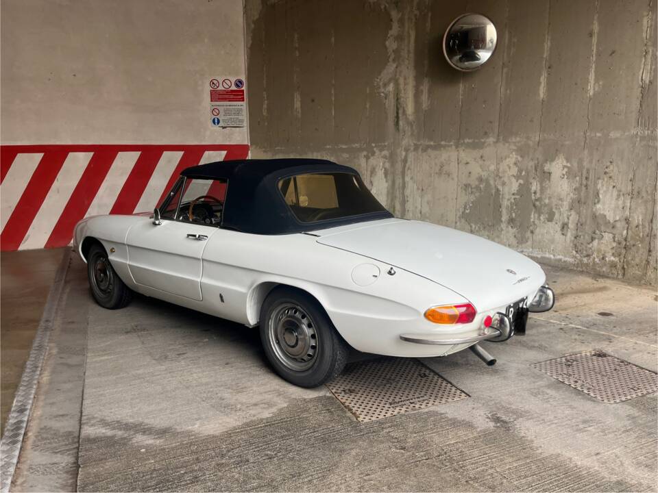 Afbeelding 3/26 van Alfa Romeo 1750 Spider Veloce (1968)