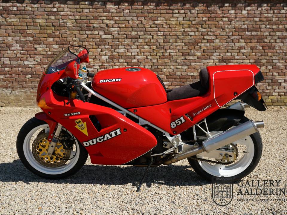Bild 1/30 von Ducati DUMMY (1990)