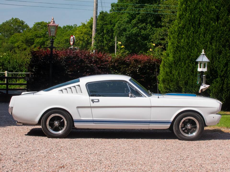 Bild 17/50 von Ford Shelby GT 350 (1965)