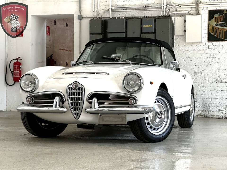 Bild 3/77 von Alfa Romeo Giulia 1600 Spider Veloce (1965)